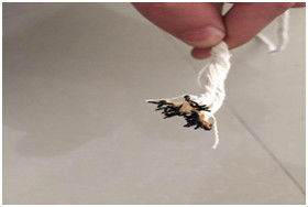 High Strength Flame Retardant Filler , Polyester Cotton Yarn For Wire Filling