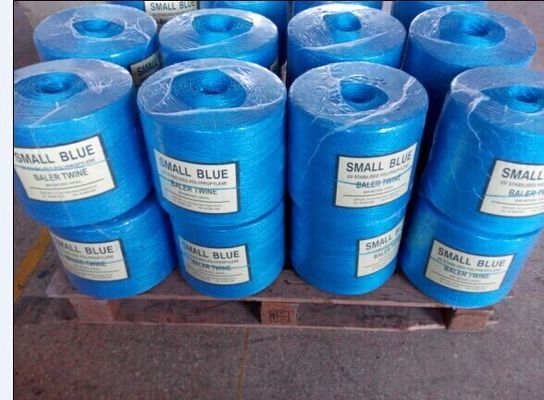 UV Resistant PP Twisted Twine High Strength Colorful Polypropylene Rope for Garden Trellis Tomato Support Agricultural Binding
