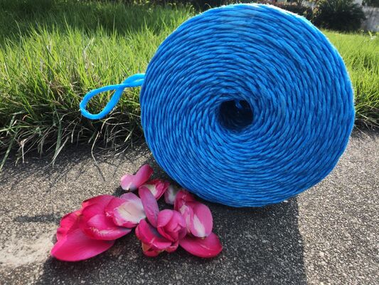 Blue Banana Rope Roll Weight 5kg Durable Strong Rope Ideal for Industrial Packaging and Heavy Duty Applications
