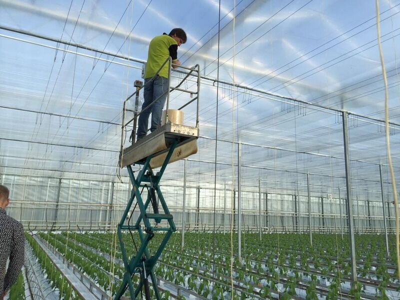 100 Percent Polypropylene Rope Twine Length 1800 Versatile Durable Twine Perfect for Industrial Packaging and Heavy Duty