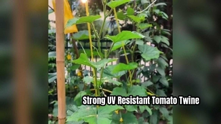Spago per legare pomodori resistente ai raggi UV per un forte sostegno alle piante