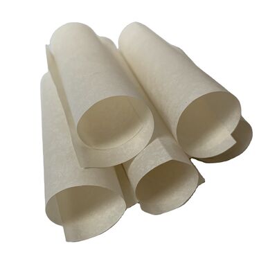 Resistenza all'isolamento 1,12 volte 10 alla potenza di 14 ohm carta isolante motore progettato per resistere al calore fino a 300 gradi Celsius