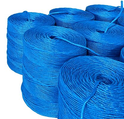 Resistenza ai raggi UV resistente ad alta resistenza alla trazione PP Baler Twine con lunghezza personalizzabile per un legame sicuro delle colture